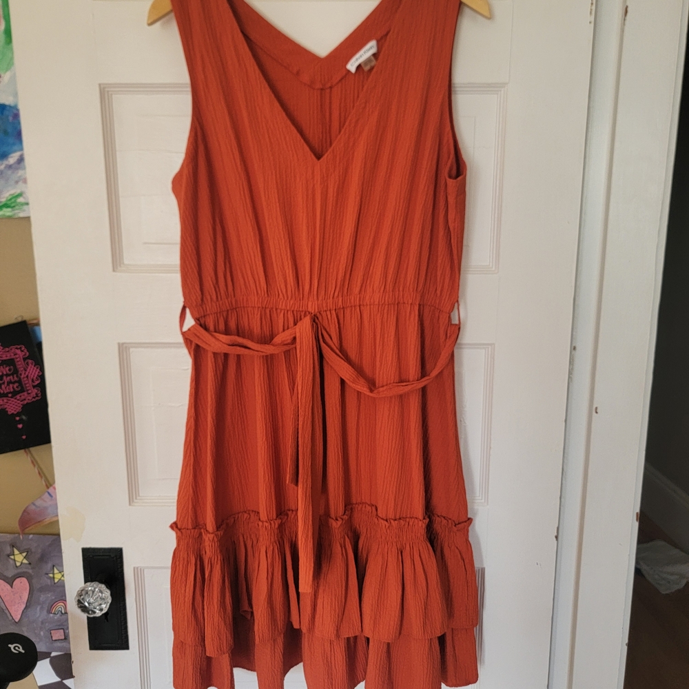 Calvin Klein Rust V-Neck Mini Dress